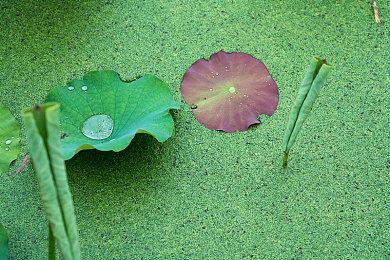 《超级猴子球 香蕉大乱斗》游戏模式及关卡介绍 丰富多彩的关卡